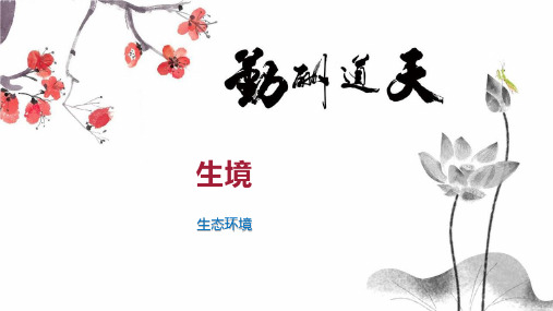 生境    
