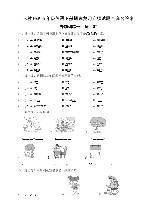 人教PEP五年级英语下册期末复习专项试题全套含答案