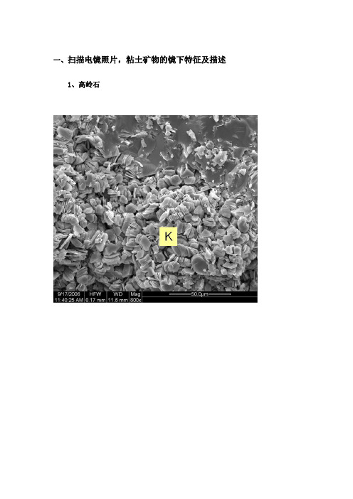 粘土矿物扫描电镜描述(文字_图片)升级版(
