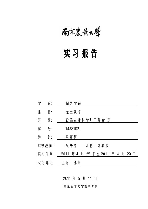 上海实习报告