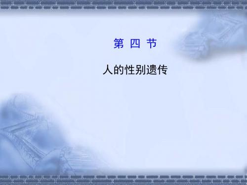 人的性别遗传(人教版)PPT课件3
