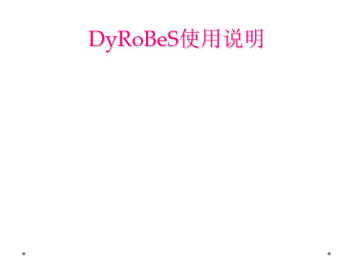 DyRoBeS使用说明