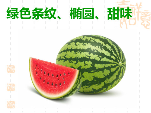 2017新苏教版语文二年级上册课文17、灯笼果