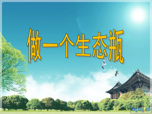 教科版五年级科学上册《做一个生态瓶》教学演示课件