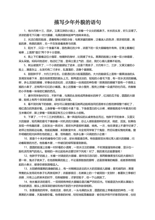 描写少年外貌的语句