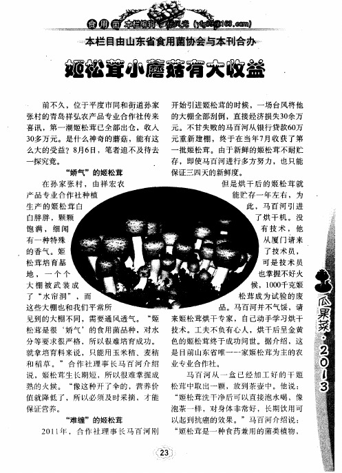 姬松茸小蘑菇有大收益