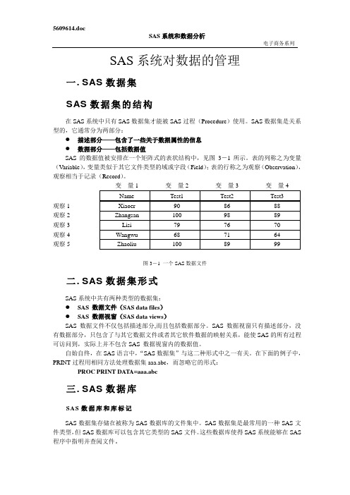 《SAS系统和数据分析