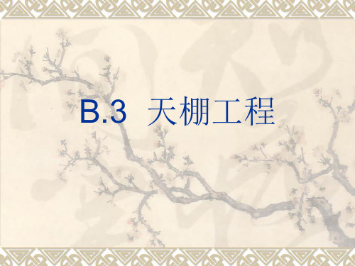B3天棚工程