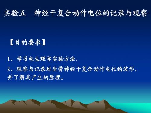 实验05 神经干复合动作电位的记录与观察