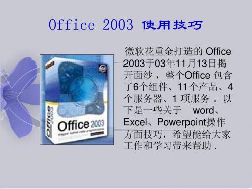 office2003使用da全