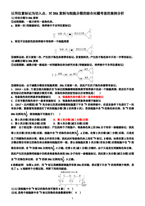 同位素标记与细胞分裂