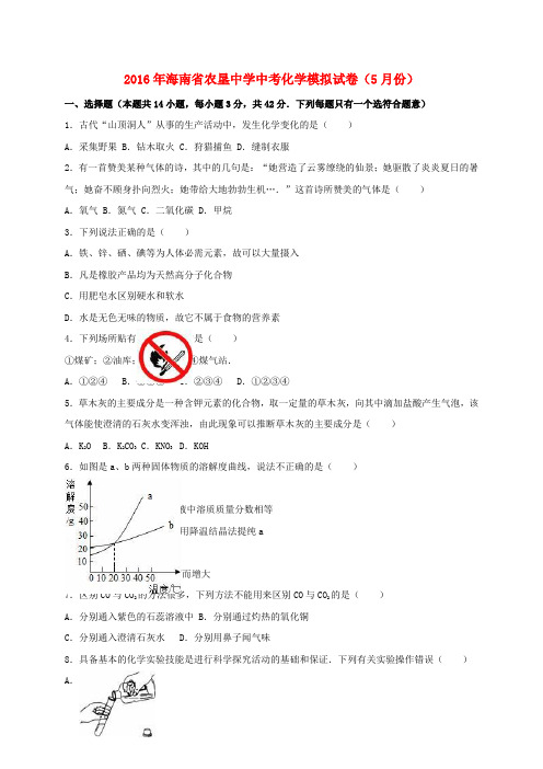 海南省农垦中学2016届中考化学5月模拟试题(含解析)