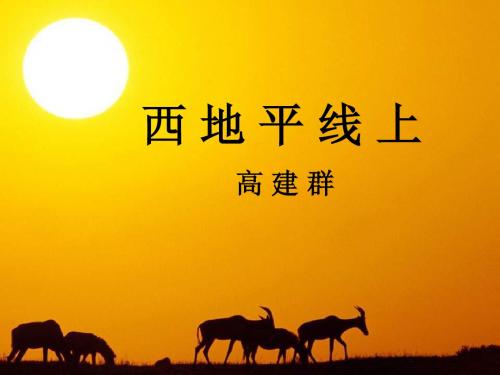 《西部地平线上的落日》
