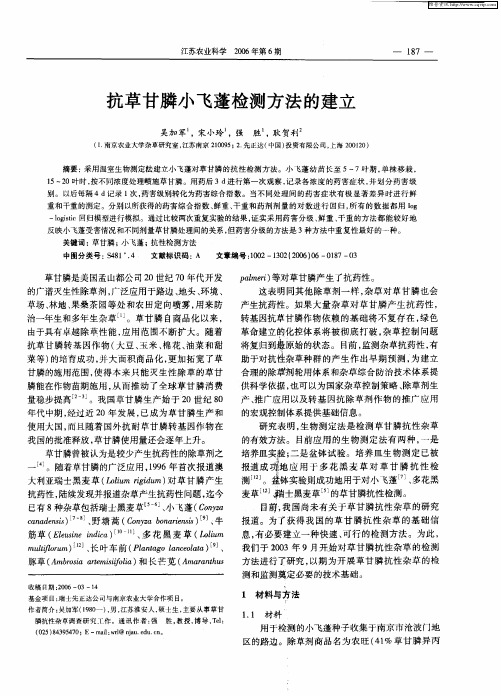 抗草甘膦小飞蓬检测方法的建立