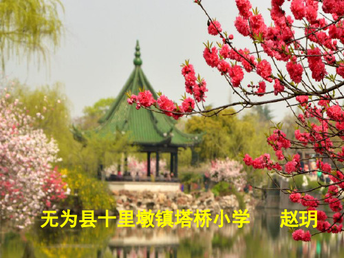 五年级下册语文课件-5《古诗两首--游园不值》苏教版(共31张PPT)