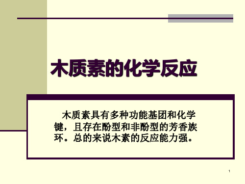 木质素的化学反应ppt课件