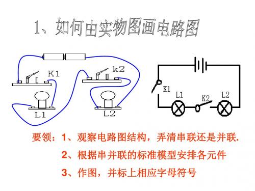 电路图的连接--浙教版