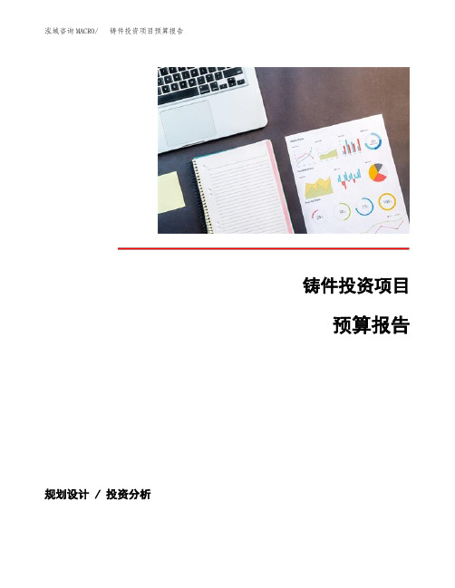 铸件投资项目预算报告 (4)