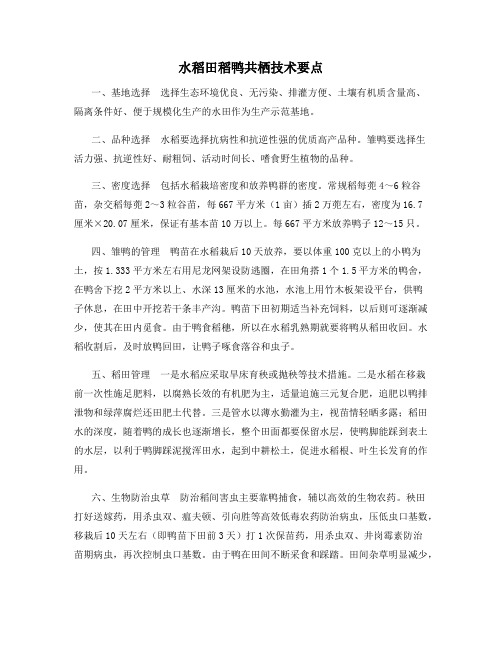 水稻田稻鸭共栖技术要点