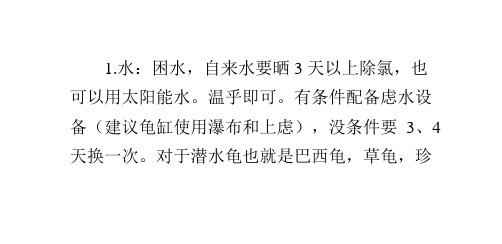 买龟走快递刚收到龟时该怎么饲养？