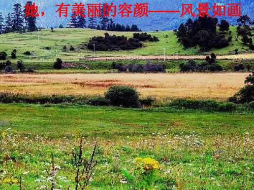 《可爱的中国》终极版