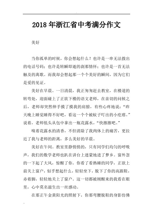 2018年浙江省中考满分作文