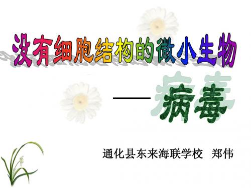 16没有细胞结构的微小生物ppt(1).ppt123.ppt123