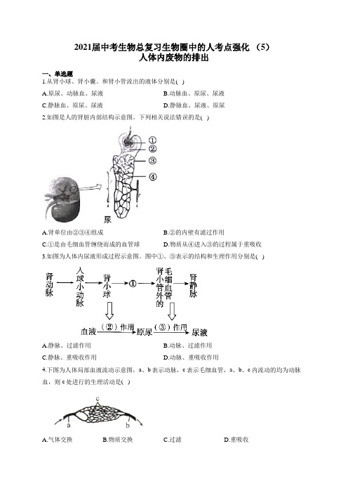 2021届中考生物总复习生物圈中的人考点强化 (5)人体内废物的排出
