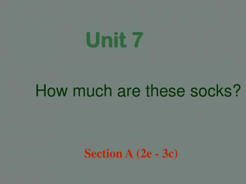 【学海风暴】2015-2016学年七年级英语上册 Unit 7 How much are these socks Section A(2e-3c)课件