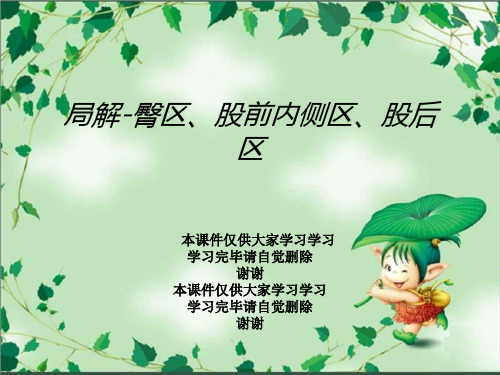 局解-臀区、股前内侧区、股后区