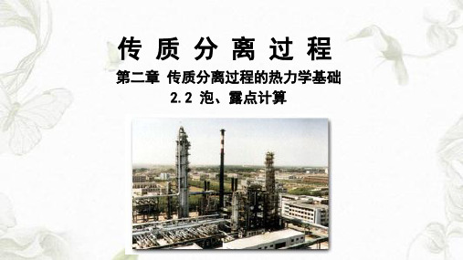 泡点和露点计算课件