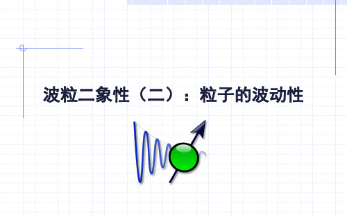 粒子的波动性