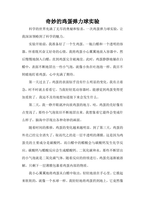 奇妙的鸡蛋弹力球实验