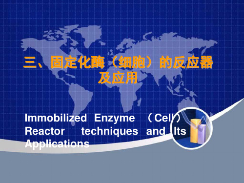 第七讲 固定化酶反应器