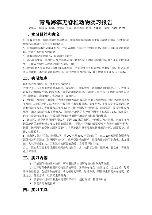 青岛海滨无脊椎动物实习报告