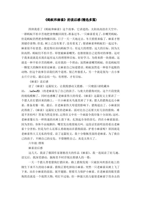 《蚂蚁和麻雀》的读后感(精选多篇)