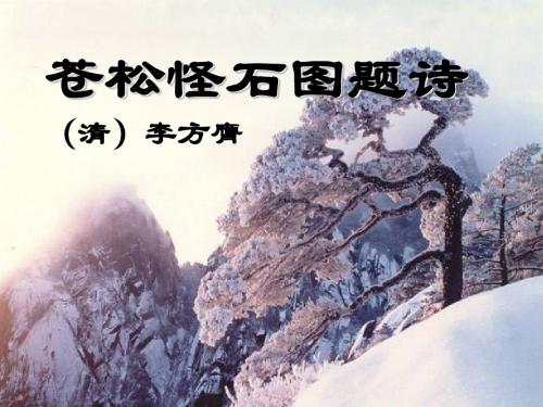 《苍松怪石图题诗》PPT课件3 (共20张PPT)