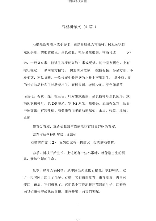 石榴树作文(4篇)