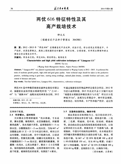 两优616特征特性及其高产栽培技术