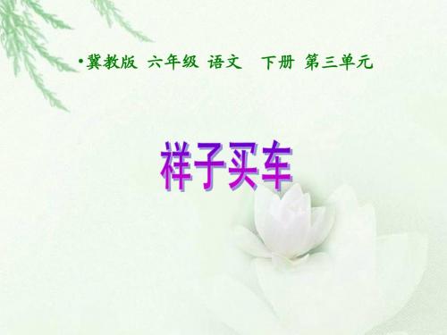 《祥子买车》
