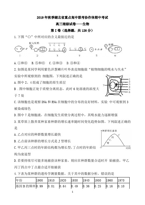 湖北省普通高中联考协作体2020届高三上学期期中考试 理科综合 Word版含答案