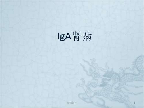 IgA肾病解读