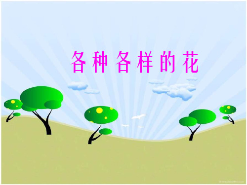 四年级下册科学课件-2.2 各种各样的花｜教科版 (共13张PPT)
