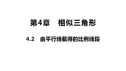 42由平行线截得的比例线段课件-浙江省嘉兴市秀洲区高照实验学校浙教版九年级上册数学(共20张PPT)
