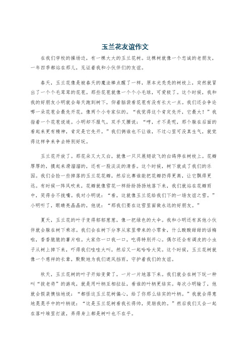 玉兰花友谊作文