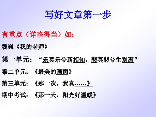 蝉贝壳以小见大的写作手法 优质课件
