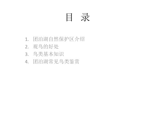 团泊湖栖息鸟类图鉴