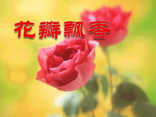 《花瓣飘香》精品ppt课件3