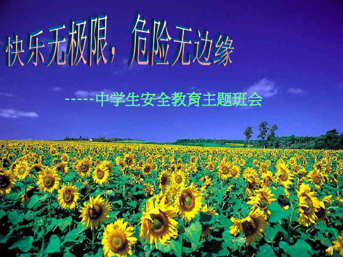 中学生安全教育ppt课件