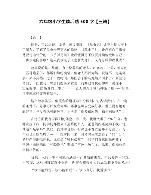 六年级小学生读后感500字【三篇】